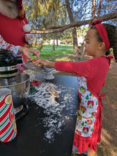 Load image into Gallery viewer, Solid Red Girls Dress