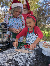 Load image into Gallery viewer, Snowy Slopes Aprons