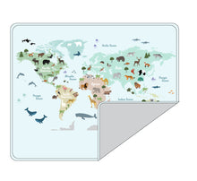 Load image into Gallery viewer, World Map Blanket