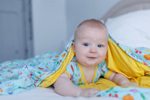 Load image into Gallery viewer, Seasons quilted Blanket