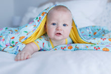 Load image into Gallery viewer, Seasons quilted Blanket