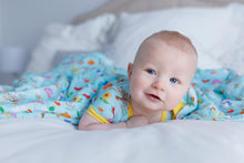 Load image into Gallery viewer, Seasons quilted Blanket