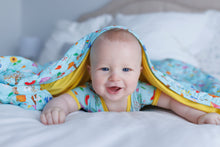 Load image into Gallery viewer, Seasons quilted Blanket