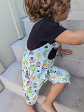 Load image into Gallery viewer, Scallywag Slumber 2-Piece Overalls
