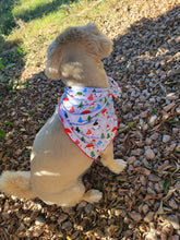 Load image into Gallery viewer, Gnomes Dog Bandanas