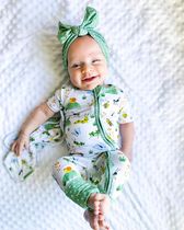 Load image into Gallery viewer, Busy Bugs Short Sleeve Rompers