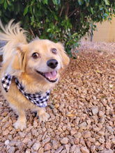 Load image into Gallery viewer, Dog Bandanas