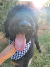 Load image into Gallery viewer, Dog Bandanas
