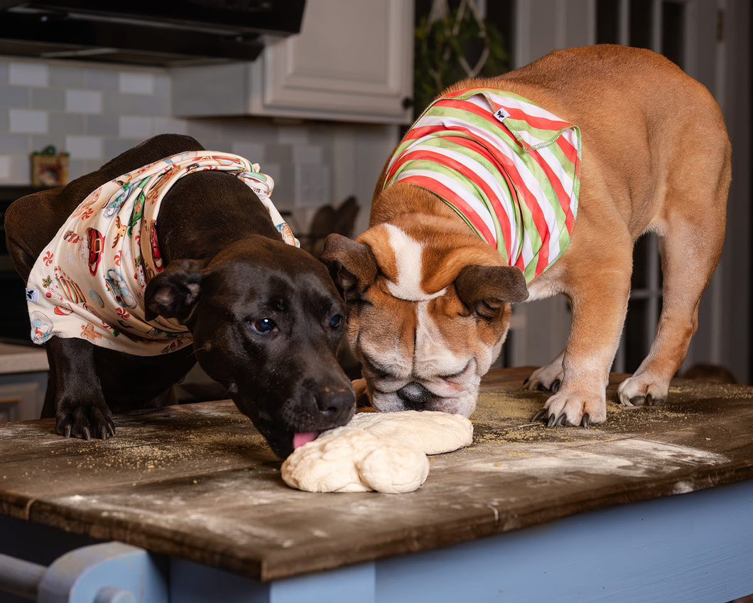 Brown Cream Cocoa Cups Dog Bandanas