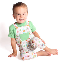 Load image into Gallery viewer, Garden Gnomes Pant Overalls
