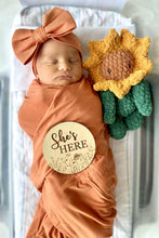 Load image into Gallery viewer, Pumpkin Pie Bamboo Headband
