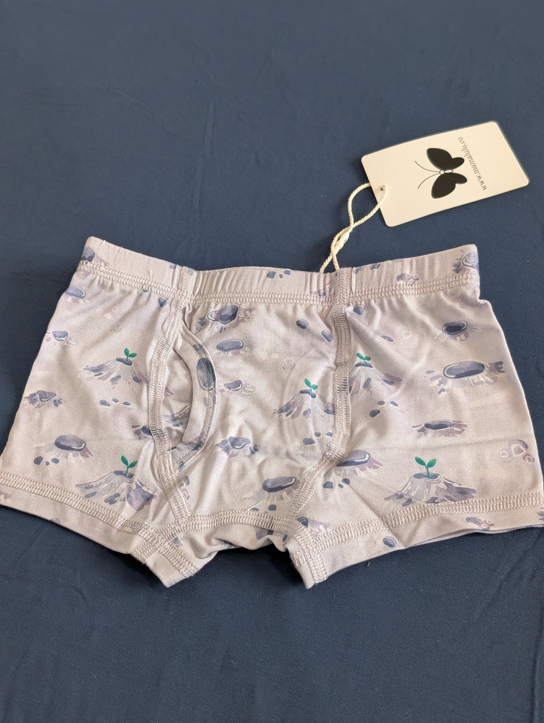 Mission Moon Boys Brief Underwear