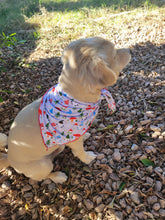 Load image into Gallery viewer, Gnomes Dog Bandanas
